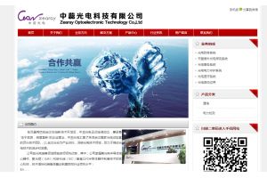 中蕊光電科技有限公司